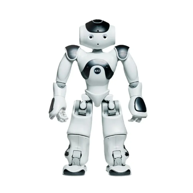 Vzdekávací robot - Nao Vzdekávací robot - Nao