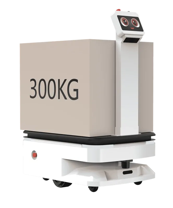 REEMAN 300KG Payload AGV AMR