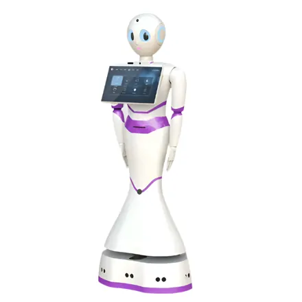Vzdelávací robot - Reeman