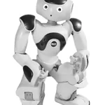 Vzdekávací robot - Nao Vzdekávací robot - Nao