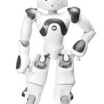 Vzdekávací robot - Nao Vzdekávací robot - Nao