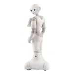 Humanoidný servisný robot - Pepper