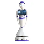 Vzdelávací robot - Reeman