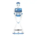 Vzdelávací robot - Reeman