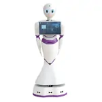 Vzdelávací robot - Reeman
