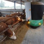 Autonómny kŕmny robot SHUTTLE ECO Autonómny kŕmny robot SHUTTLE ECO