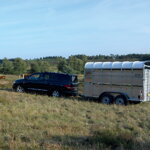 PREPRAVNÍK ZVIERAT NUGENT LS85 (L2415S) 2000 KG PREPRAVNÍK ZVIERAT NUGENT LS85 (L2415S) 2000 KG
