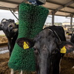 Drbadlo elektrické Pendulum Agricow