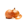 Ikona