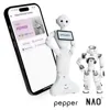 Softvér pre roboty – programovanie, riadenie a integrácia